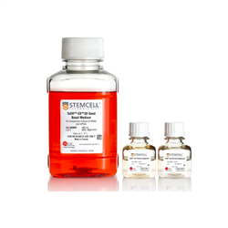 03990STEMCELL TeSR™-E8™3D-常备现货