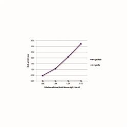 1015-04SouthernBiotech 山羊抗鼠IgG Fab-AP