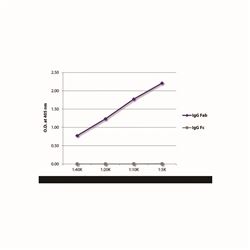 1015-08SouthernBiotech 山羊抗鼠IgG Fab BIOT