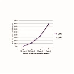 1015-31SouthernBiotech 山羊抗鼠IgG-常备现货