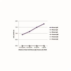 1020-01SouthernBiotech 山羊抗鼠IgM，人ads-UNLB