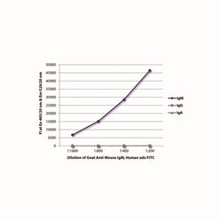 1020-02SouthernBiotech 山羊抗鼠IgM，人ads-FITC