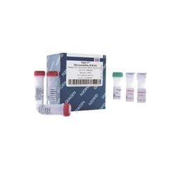 206243Qiagen Type-itMicrosatellitePCRKit(200)