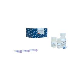 28606Qiagen 快速洗脱胶回收试剂盒-常备现货