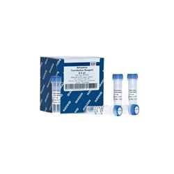 301005Qiagen Attractene转染试剂（1ml）