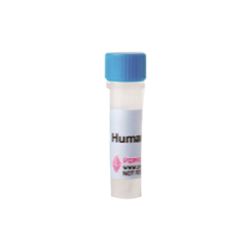 315-11-2UGPeproTech Murine sRANK Ligand (E.coli derived)