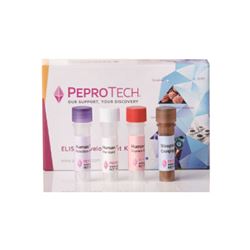 900-T27PeproTech 人干扰素-γ标准TMB开发试剂盒
