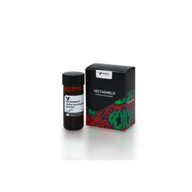 H-1200Vector Laboratories荧光封片剂（含 DAPI）