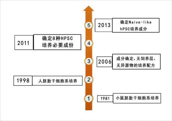 CellArtis 人iPS和人ES增殖用培养基