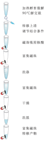 OMEGA 磁珠法石蜡包埋样本DNA提qu试剂盒