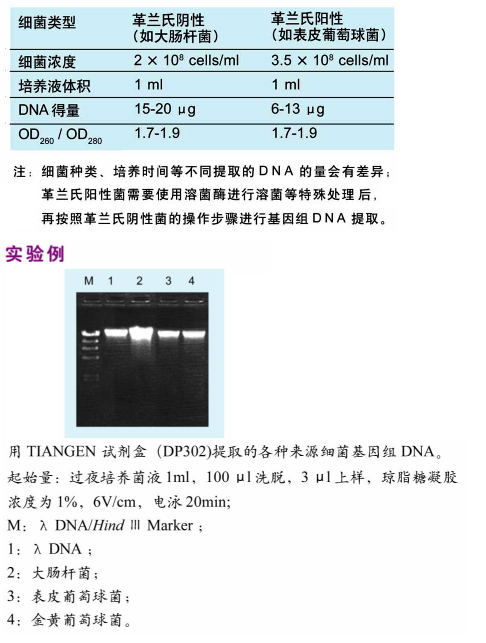 天根 细菌基因组DNA提QU试JI盒(DP302)
