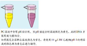 天根 Universal DNA 纯化回收试剂盒(DP214)