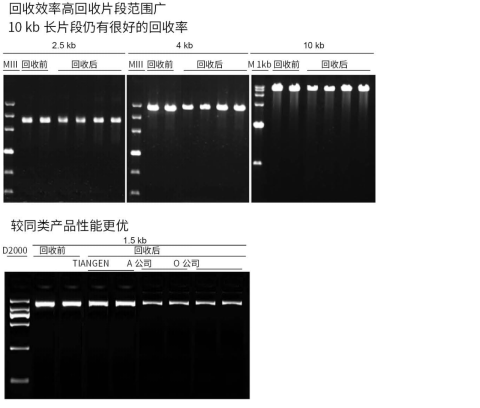 天根 普通琼脂糖凝胶DNA回收试剂盒(DP209)