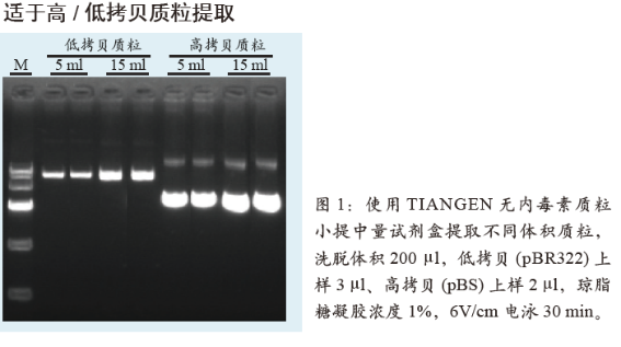 天根 无内毒素质粒小提中量试剂盒(DP118)